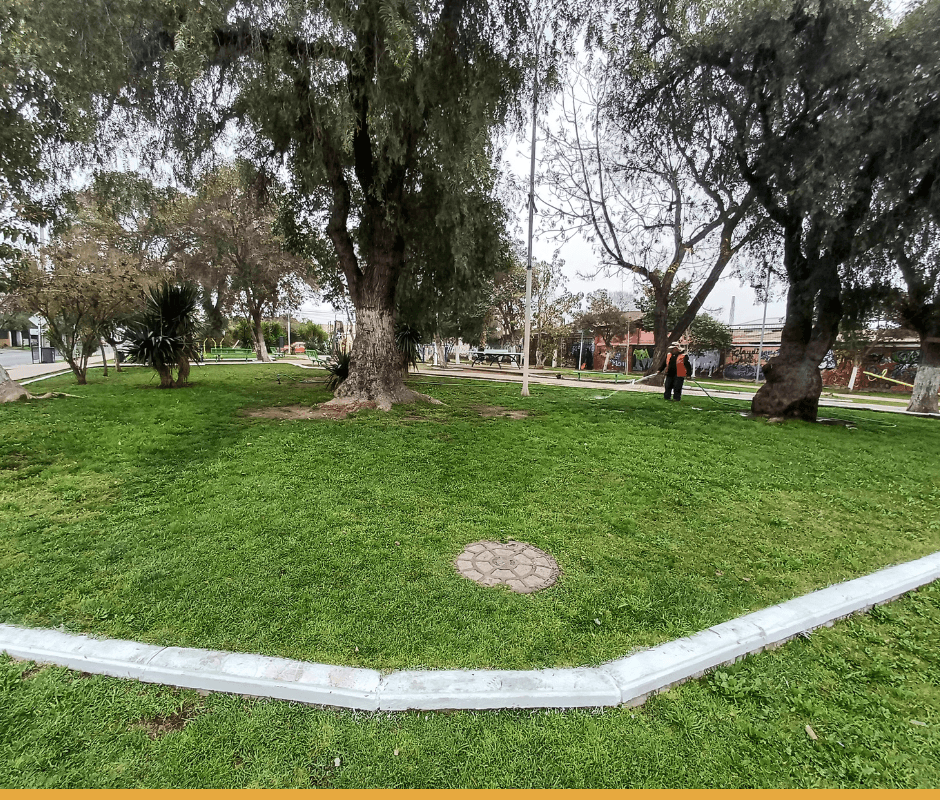 Operativo de limpieza en sector de Plaza El Salitre