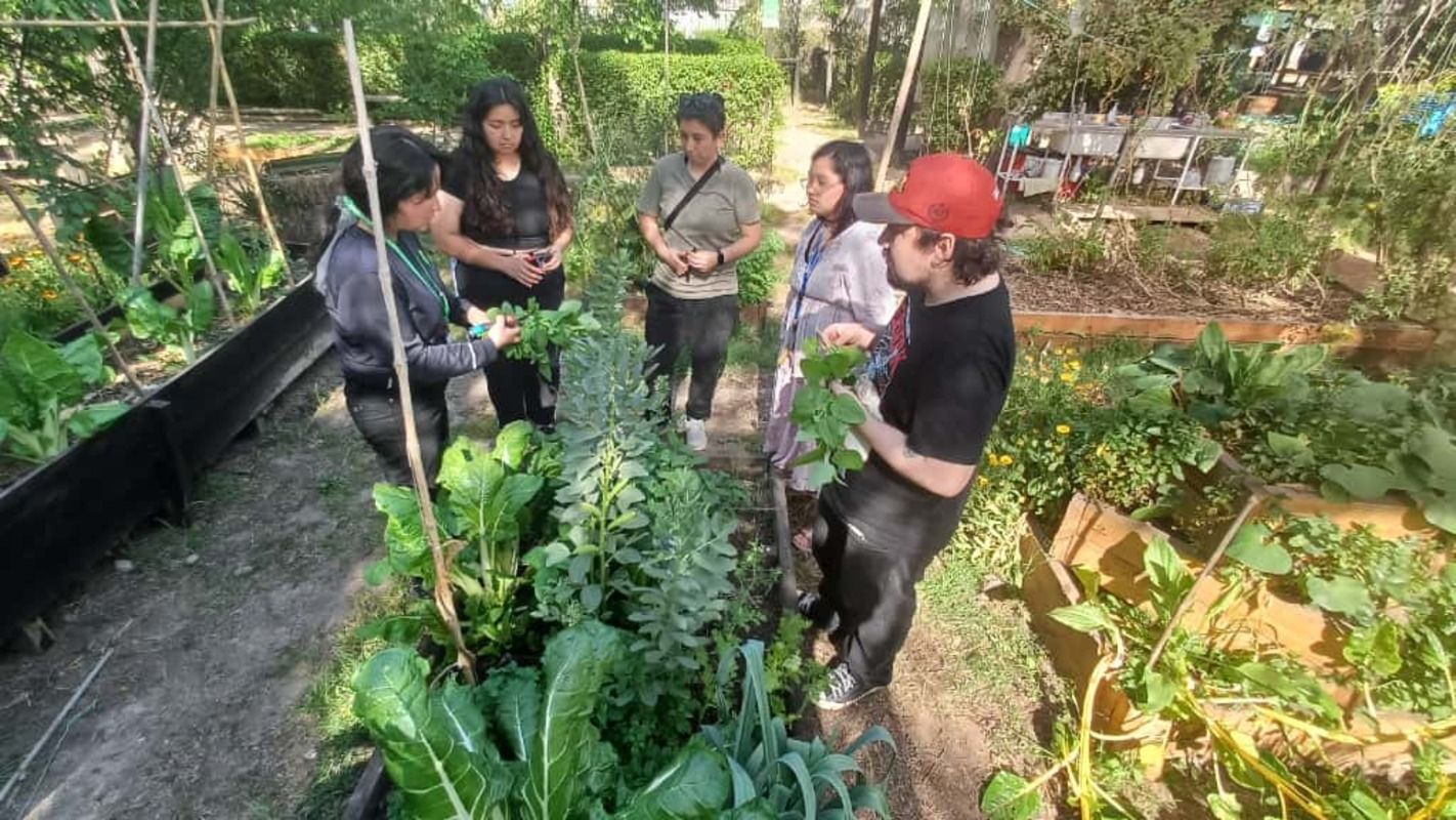 Exitoso taller sobre huertos agroecológicos se realizó en el Centro de Educación Ambiental