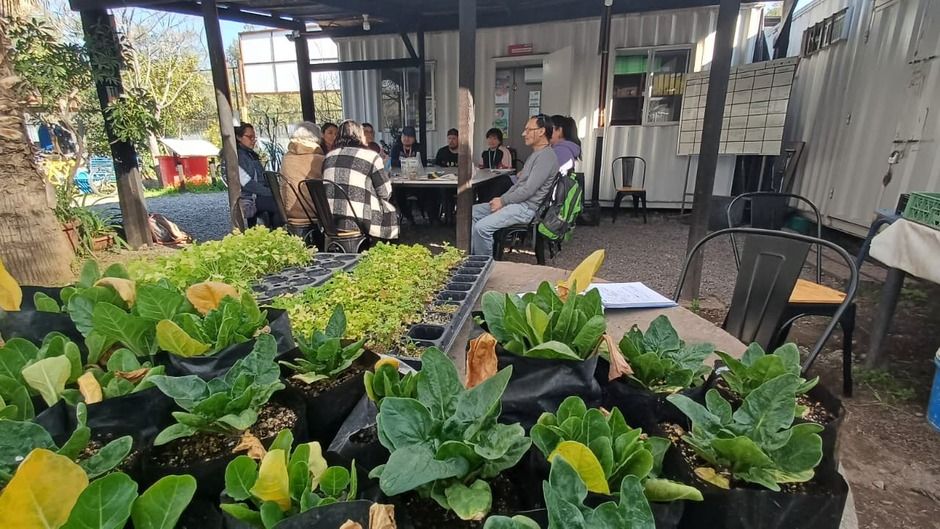 Comunidad cisterna se capacita en agricultura sostenible con el taller agroecológico local