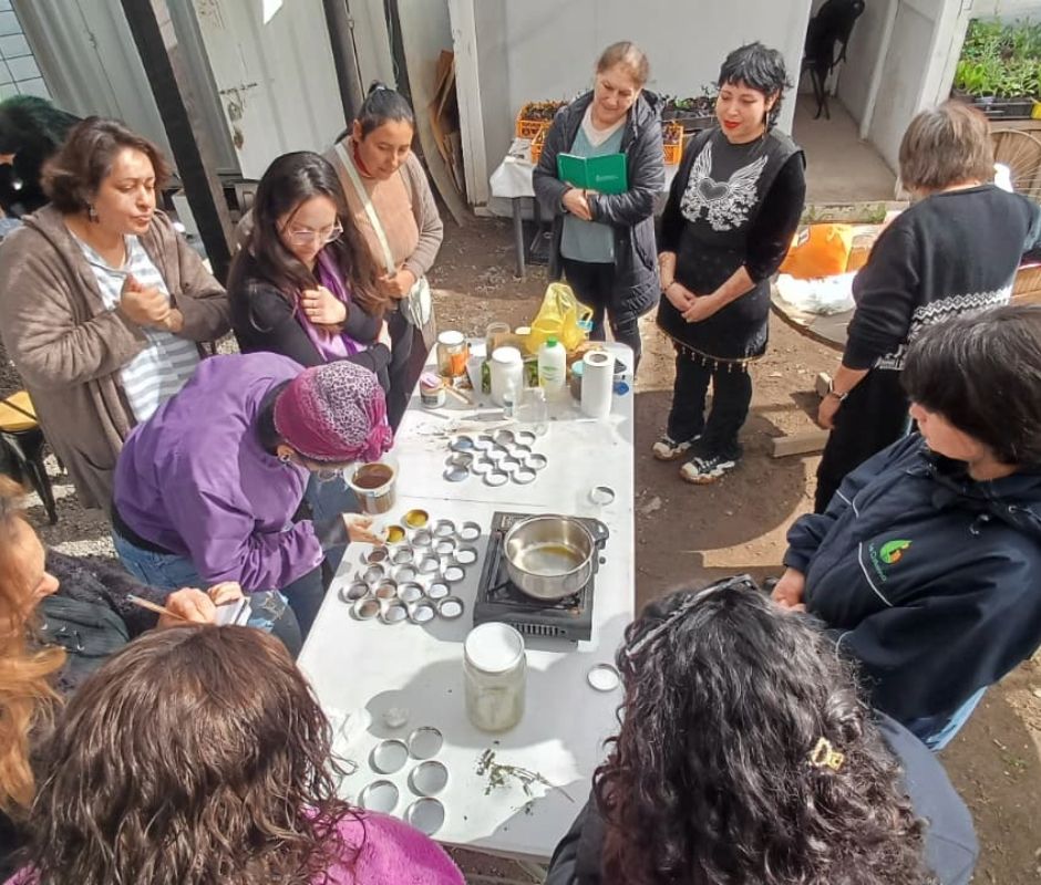 Comunidad cisternina descubre el poder de las plantas en el primer Taller de Fitocosmética Medicinal