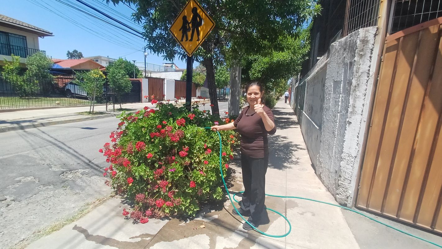 Altas temperaturas: Revisa aquí consejos para el riego de las áreas verdes del hogar