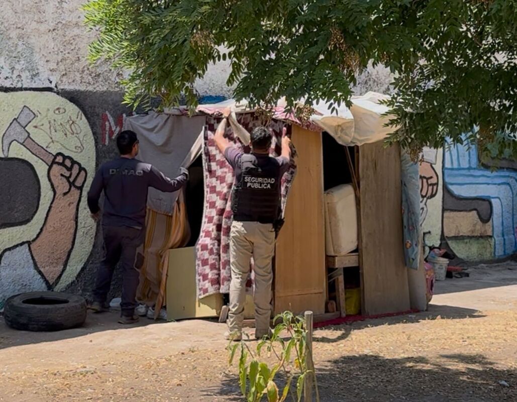 Aumentan operativos de retiro de rucos en la comuna