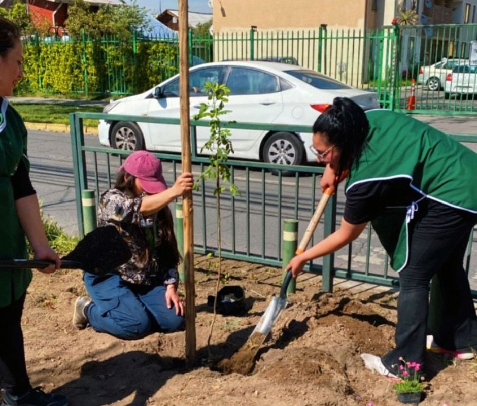 Plantación de árboles nativos promueve conciencia medioambiental en etapa preescolar