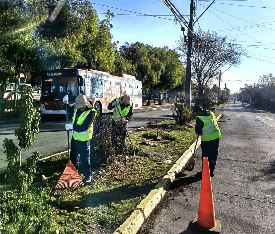 Municipio refuerza operativo de limpieza y desmalezado en distintos sectores de La Cisterna