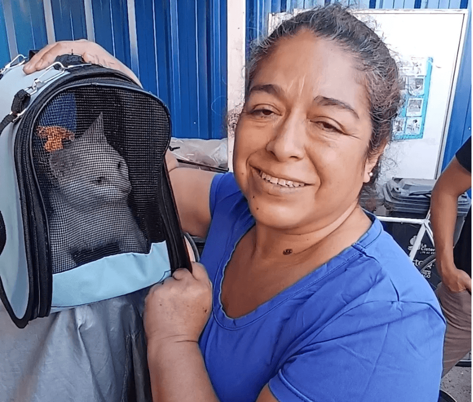 Mejorando la calidad de vida a los felinos de La Cisterna