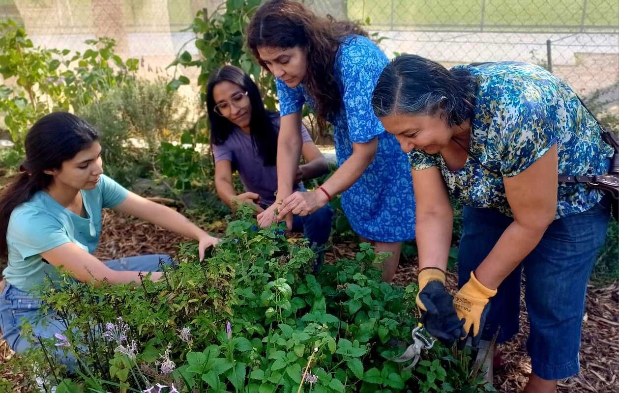 Iniciamos el mes de abril con exitosa jornada de voluntariado, fortaleciendo la agroecología en la Cisterna