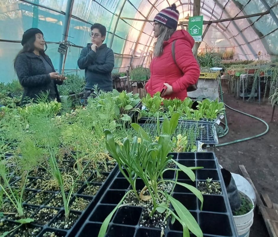 Vecinos realizan visita guiada al Centro Educativo Ambiental y Vivero Municipal
