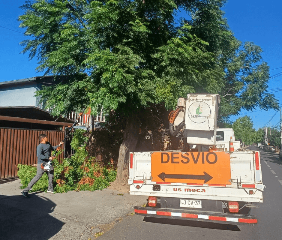 Municipio de La Cisterna refuerza podas responsables para proteger a la comunidad