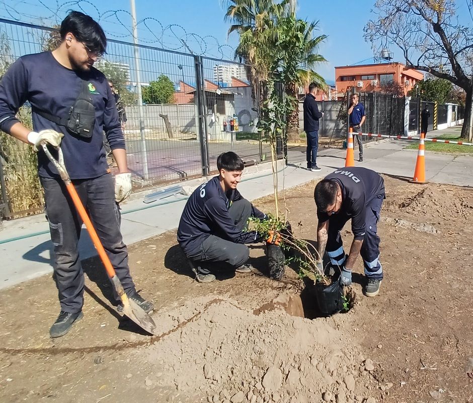 Otoño: Temporada ideal para seguir arborizando la Cisterna