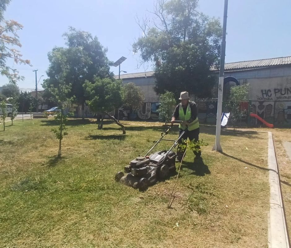 La Cisterna refuerza su compromiso con la conservación de áreas verdes