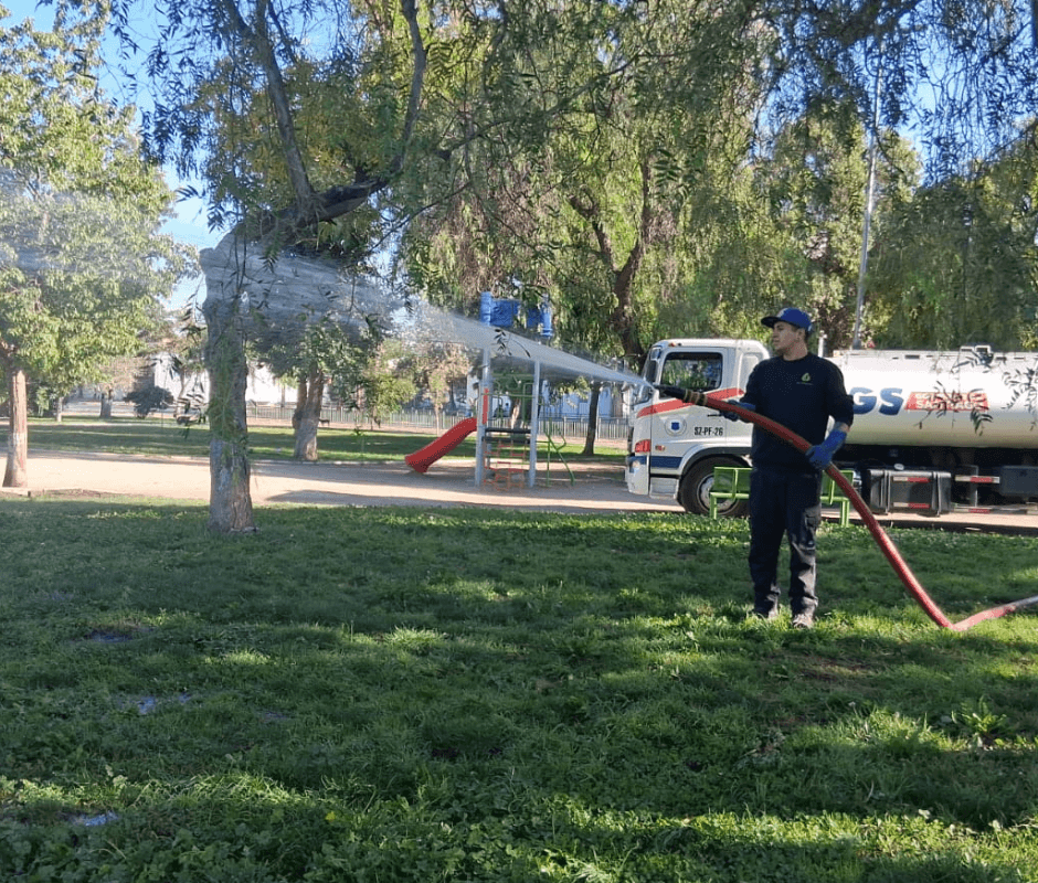Operativo de mantención en áreas verdes de la comuna