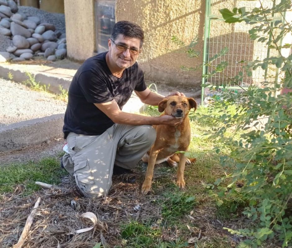 Compromiso con la prevención del maltrato animal