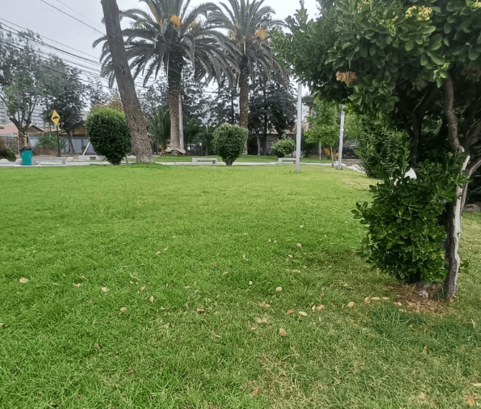 SE INTENSIFICAN LOS OPERATIVOS DE RIEGO EN ESTE VERANO 2026