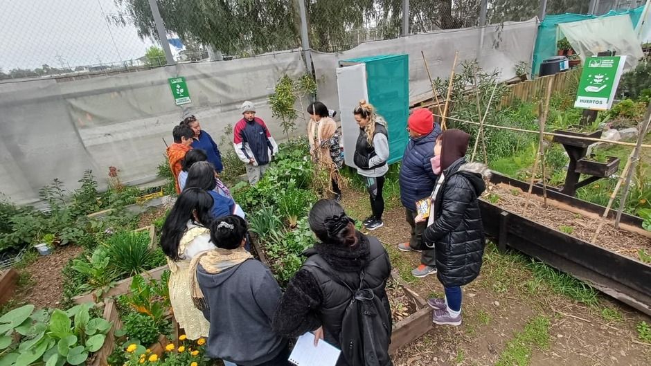 La Cisterna avanza en lo medioambiental con taller de métodos de cultivo de estación primavera-verano